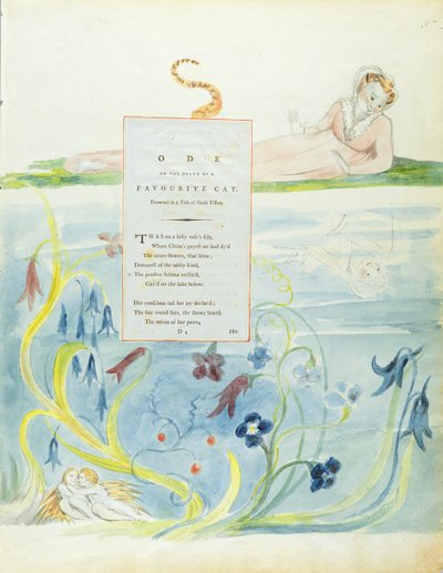 التصميم 9 لـ "قصيدة عن وفاة قطة مفضلة" من "قصائد توماس غراي" ، تم نشره 1797-98 (مرحاض بالقلم والحبر على الورق) بواسطة وليام بليك